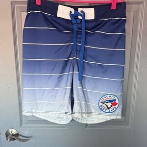 Toronto Blue Jays Board/Seim Shorts